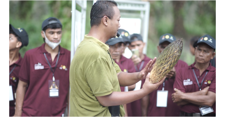 Kolaborasi Lpp Agro Bpdpks Dan Kementan Beri Pelatihan Pekebun Sawit