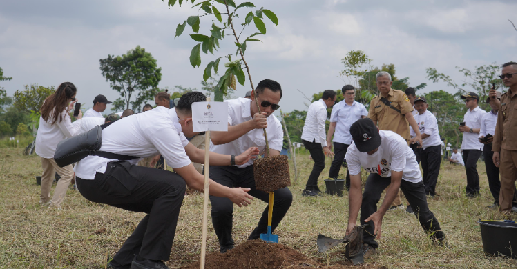 Menteri Ahy Gencarkan Aksi Tanam Pohon Lawan Perubahan Iklim