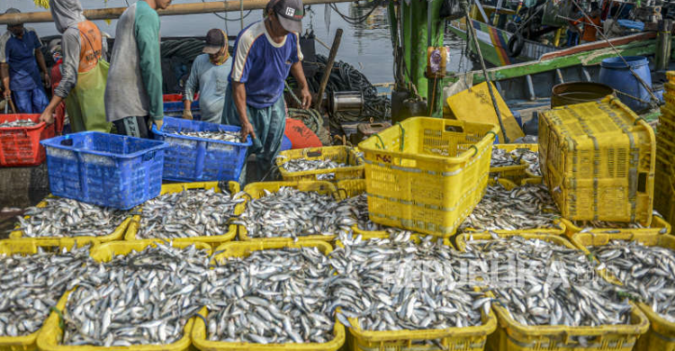 Produksi Ikan Lancar Aktivitas Di Pelabuhan Perikanan Sesuai Prokes