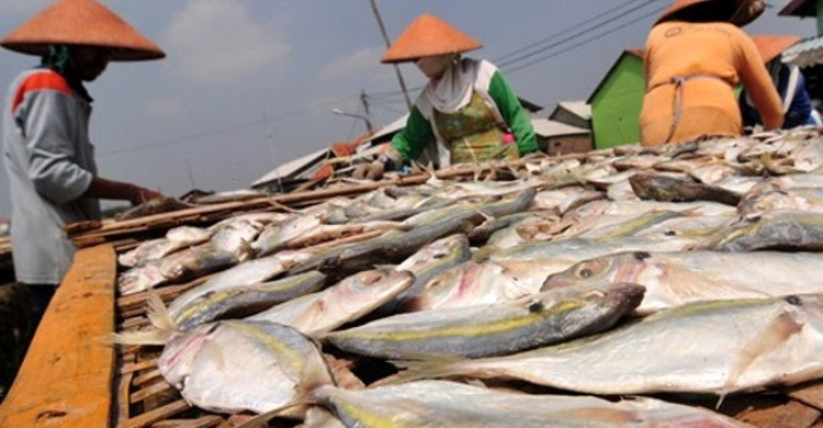 Proyek Lumbung Ikan Nasional Diramal Serap Puluhan Ribu Nelayan