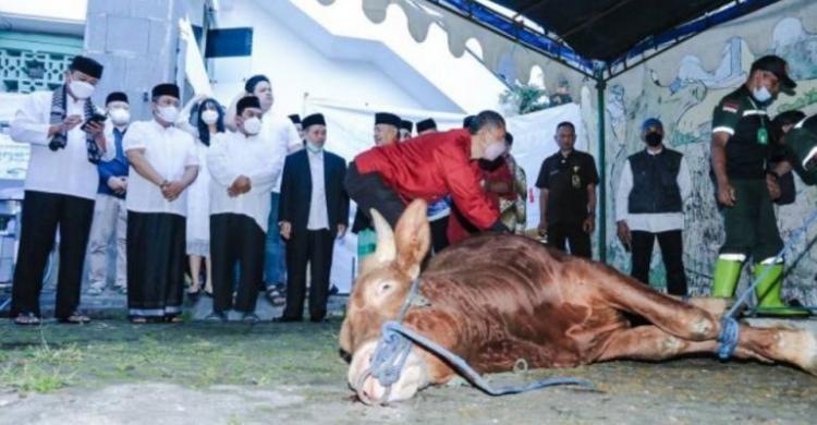 Rayakan Idul Adha H Pemkot Bandung Tebar Sapi Dan Domba