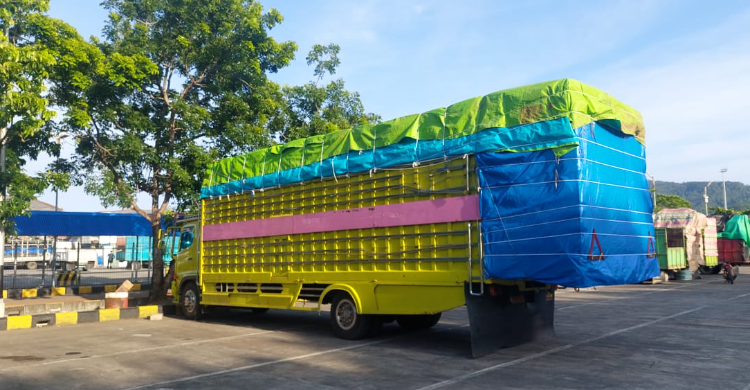 Catatan Djoko Setijowarno Program Subsidi Angkutan Barang Perintis Solusi Tangani Truk ODOL