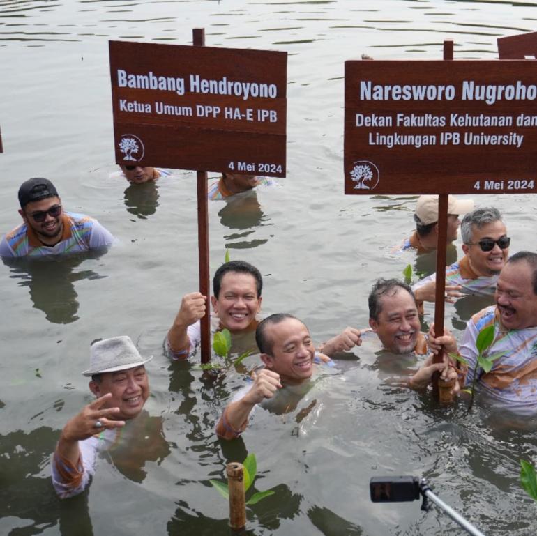 Bareng Rimbawan IPB Bambang Nyemplung Tanam Bibit Mangrove Di TWA