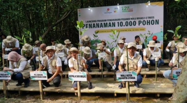 Luncurkan Program One Two Trees SKK Migas Tanam 10 Ribu Pohon Mangrove