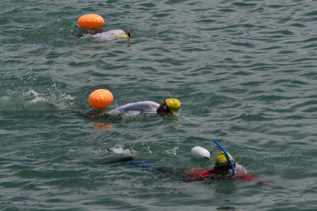 Lomba Renang Lintas Teluk Palu