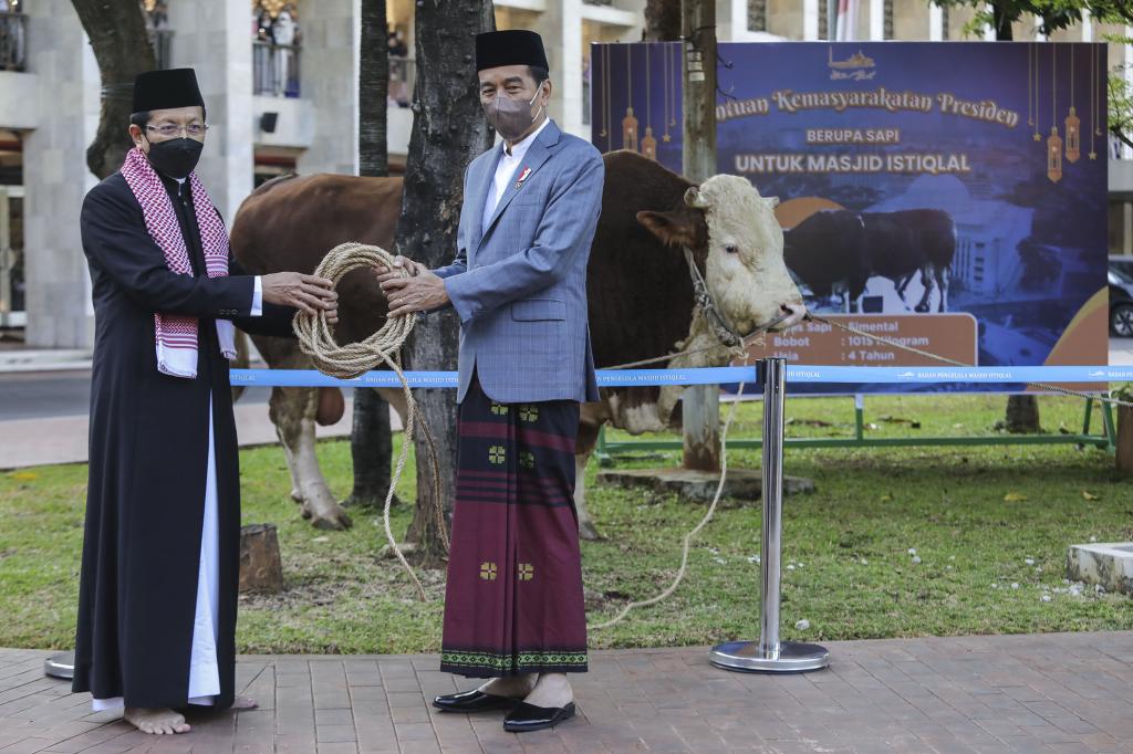 Presiden Serahkan Sapi Kurban Ke Masjid Istiqlal