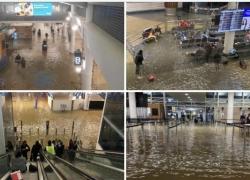 Banjir Auckland Tewaskan 4 Orang, KBRI Wellington Minta WNI Tak Lengah
