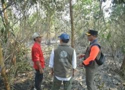 176 Water Bombing Dalam Sehari Menhut Tinjau Karhutla Kalsel: Api Sudah Tak Terlihat, Tapi Masih Berasap