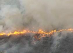 30 Ribu Hutan & Lahan Terbakar 196 Orang Jadi Tersangka, 96 Korporasi Diduga Terlibat