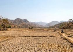54 Persen Wilayah Dilanda Kekeringan Waspada, El Nino Bisa Sampai Awal 2027
