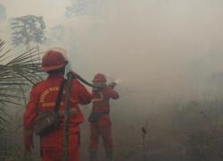 8 Fakta Karhutla Terkini: Hotspot Turun 288 Titik, Sumsel Tertinggi