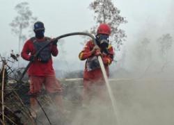 Analisis Kapolri & Mantan Menteri Asing Recokin Karhutla & Pasar Modal Indonesia