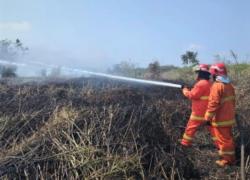 Antisipasi Karhutla, PHI Perkuat Pemadaman dan Edukasi di Kalimantan