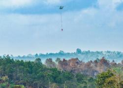 Api Dekat IKN Sudah Padam Karhutla Kalimantan & Sumatera Disorot 13 Negara