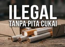Bea Cukai Gagalkan Peredaran 7,8 Juta Batang Rokok Ilegal di Sulsel