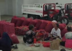 Berdayakan Ekonomi Desa, KDKMP Nganjuk Serap Bawang Petani Di Atas Harga Pasar