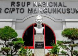 Bisa Pulang Pekan Ini RSCM Soal 2 Pasien Anak Asal Sumut: Tak Ada Gangguan Fungsi Otak, Ginjal Normal