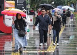 BMKG: Musim Hujan Baru Datang pada Pertengahan Oktober