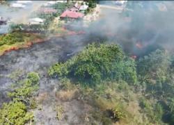 BNPB Catat Karhutla Di 4 Daerah, 16 Hektare Lahan Terbakar