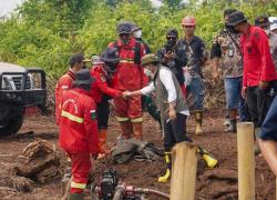 Cek Karhutla di Riau, Menhut: Tak Cukup Hanya Padamkan Api