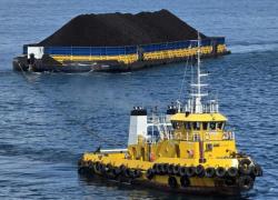 Dukung Ketahanan Energi, PELNI Angkut 335 Ribu Ton Batubara pada Semester I 2026