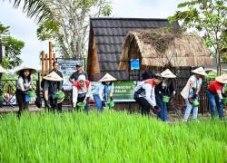 Energi Mandiri Petani Uma Palak Tarik Perhatian Delegasi ASCOPE