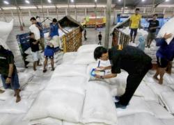 FAO Prediksi Produksi Beras Global Turun Alhamdulillah, Di Sini Melimpah...