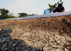 Hujan Mulai Turun, Elnino Masih Mengintai