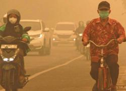 Hujan Mulai Turun, Semoga Karhutla Reda