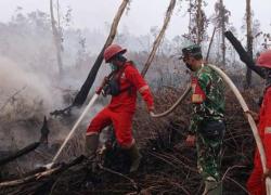 Isu Karhutla Akan Dibawa Ke KTT ASEAN Semangatnya Cari Solusi, Bukan Saling Menyalahkan