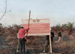 Izin PT MPK Dibekukan Kemenhut Sanksi 6 Perusahaan Imbas Karhutla 1.511,55 Hektare di Kalimantan