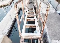 Jembatan Taman Apung Dekat Kota Tua Rusak Bahaya Nih, Pengunjung Rawan Tercebur Ke Kali