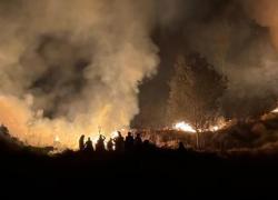 Jinakkan Api Bromo 2, Menteri Gantian Turun Ke Lapangan