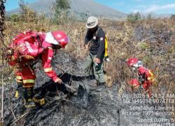 Karhutla 30 Hektare di Rinjani Berhasil Dipadamkan