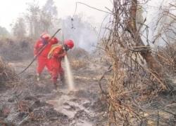 Karhutla Ganggu Bandara, Menhut-Kepala BNPB Ngantor Di Kalteng