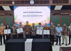 Kebut Swasembada Bawang Putih, PTPN Group Siapkan Lahan 10 Ribu Hektar Di Jabar
