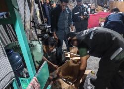Kemenhut Bongkar Perdagangan Satwa Dilindungi via Facebook