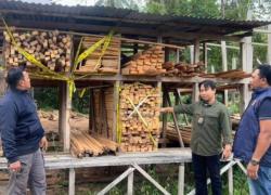 Kemenhut Bongkar Peredaran Kayu Ilegal Di Buru Selatan, 387 Batang Disita