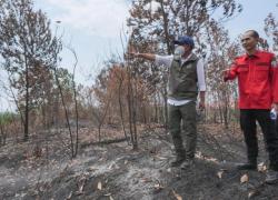 Kemenhut: Pemerintah Kerahkan Semua Kekuatan untuk Atasi Karhutla