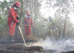 Kerahkan 12.880 Personel Modifikasi Cuaca, Buat Sumur Bor Pemerintah Gaspol Jinakkan Karhutla