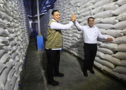 Kirim 1.000 Ton Beras Premium Ke Malaysia Bulog Bidik Peluang Ekspor Senilai Rp 3,3 T