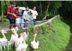 Libur Lebaran, Jokowi Temani Cucu Wisata Satwa Di Deli Serdang