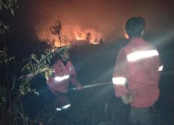 Manggala Agni Kemenhut Tetap Padamkan Karhutla di Tengah Berbagai Kendala