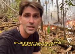 Menhut Perintahkan Water Bombing Atasi Karhutla Dekat Habitat 200 Orangutan
