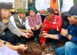 Menhut Raja Juli: Pengelolaan Gambut di Riau Jadi Laboratorium BPGMN