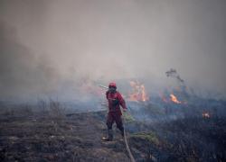 Musim Hujan Datangnya Lama, Karhutla Masih Membara