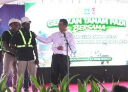 Pemerintah Kebut Pengembangan Papua Selatan Jadi Lumbung Pangan Nasional