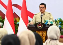 Pemerintah Kucurkan Rp 1,23 T Untuk 7 Provinsi Terdampak Karhutla