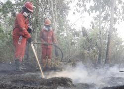 Pemerintah Optimalkan Modifikasi Cuaca Jinakkan Karhutla Di Kalimantan