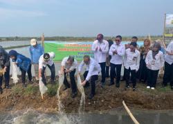 PGN-BRIN Sulap Lahan Salin Batang Jadi Sawah Dan Kolam Ikan